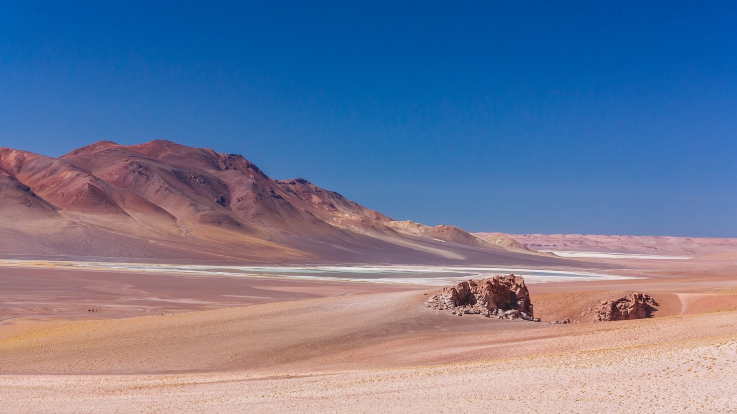 How You Can Support Our Mission