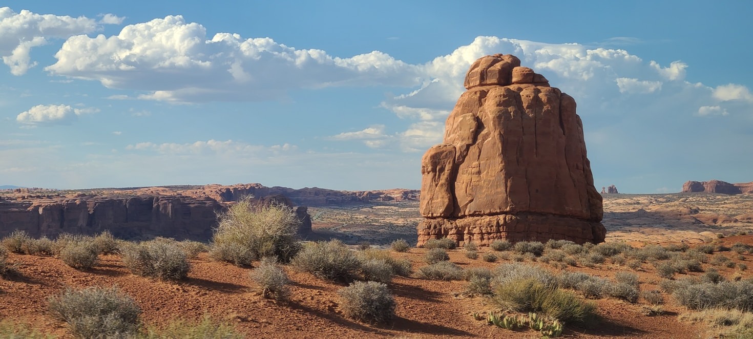 Empathy in Action: Saving Lives Together