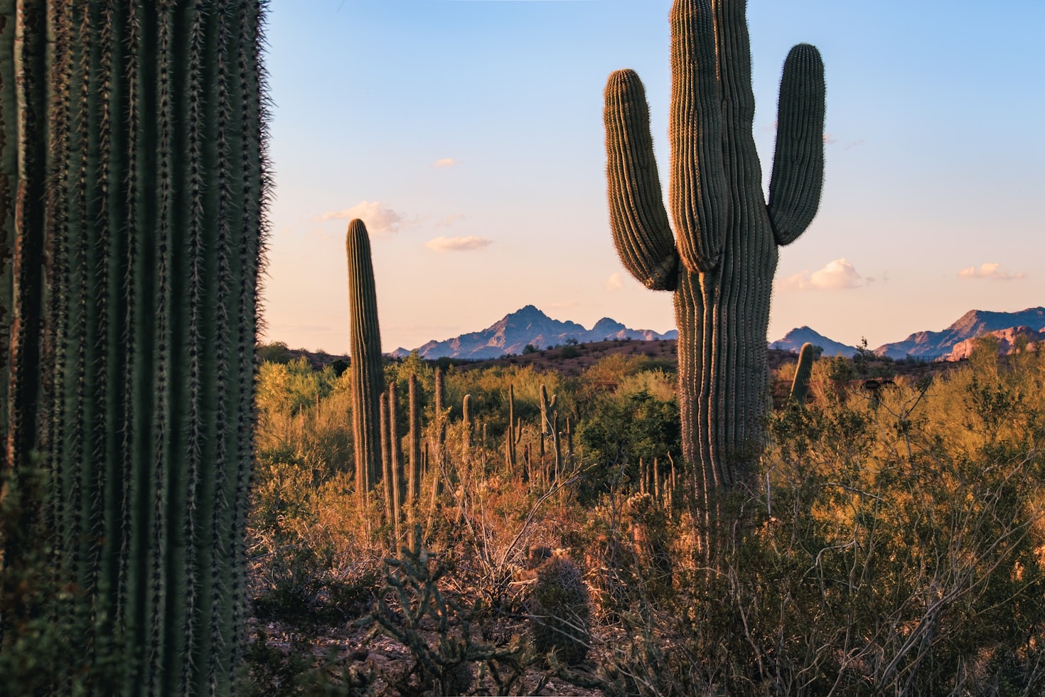 How to Become a Part of Our Community